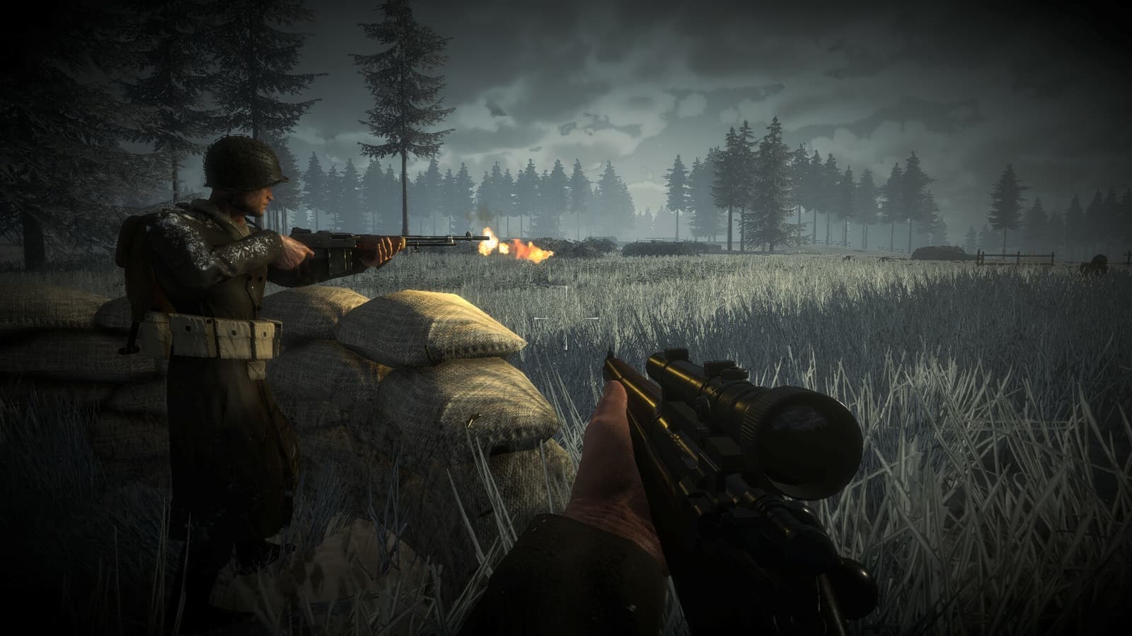Изображение из объявления Steam