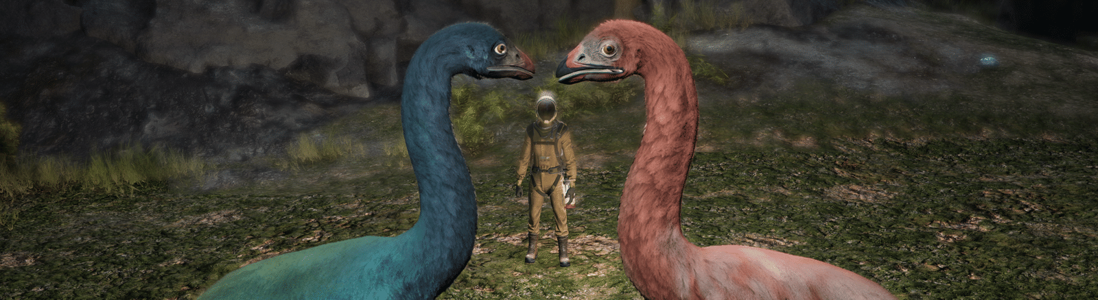 Изображение из объявления Steam