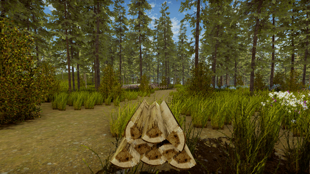 Изображение из объявления Steam