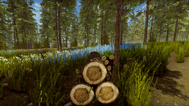 Изображение из объявления Steam