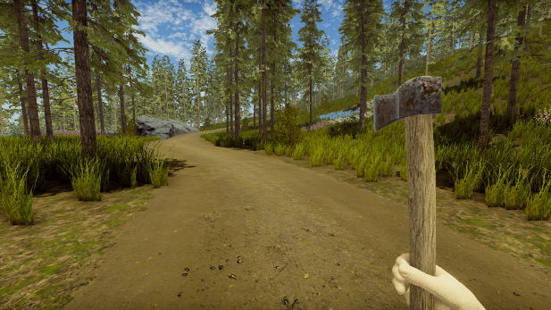 Изображение из объявления Steam