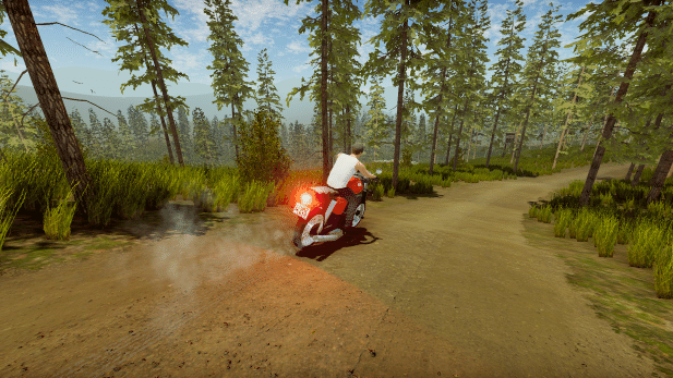 Изображение из объявления Steam