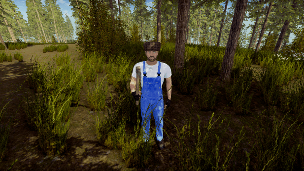 Изображение из объявления Steam