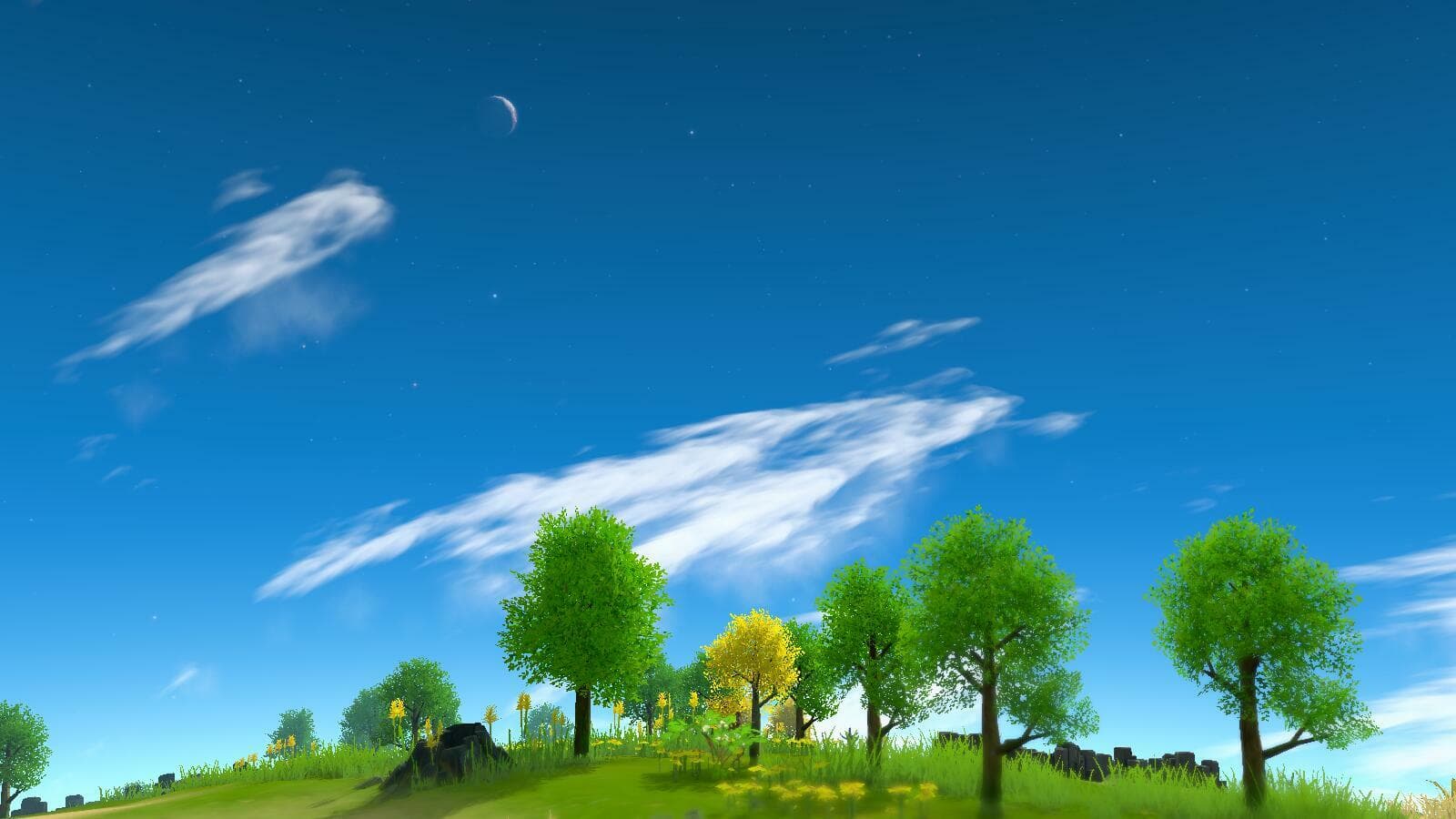 Изображение из объявления Steam