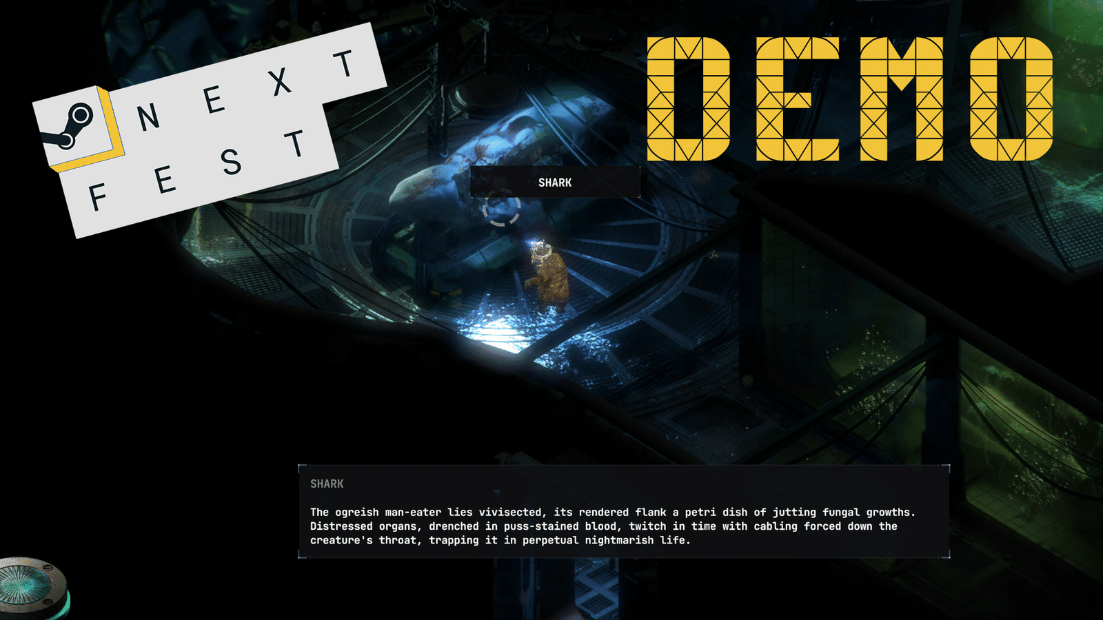 Изображение из объявления Steam