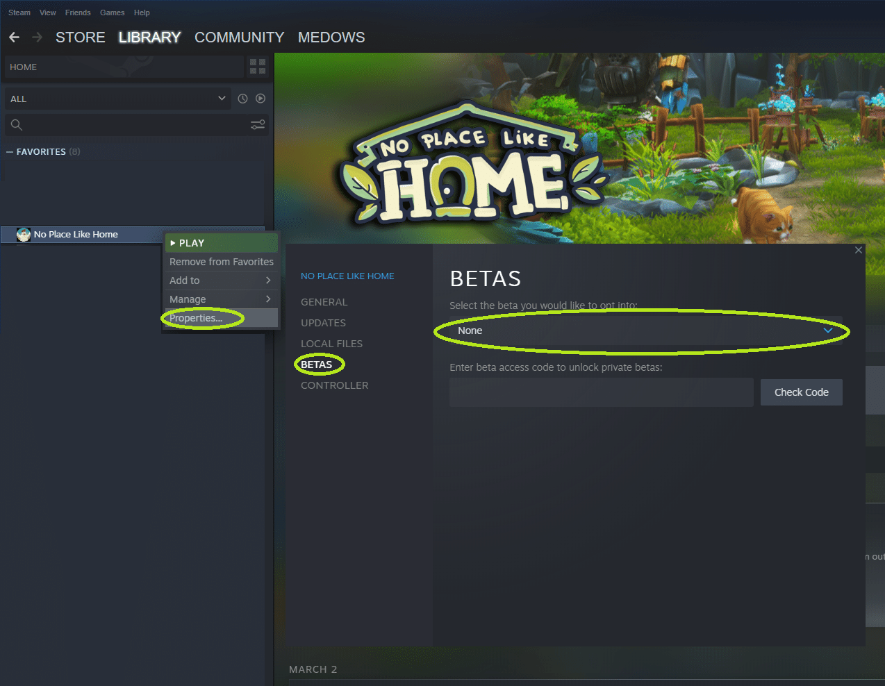 Изображение из объявления Steam