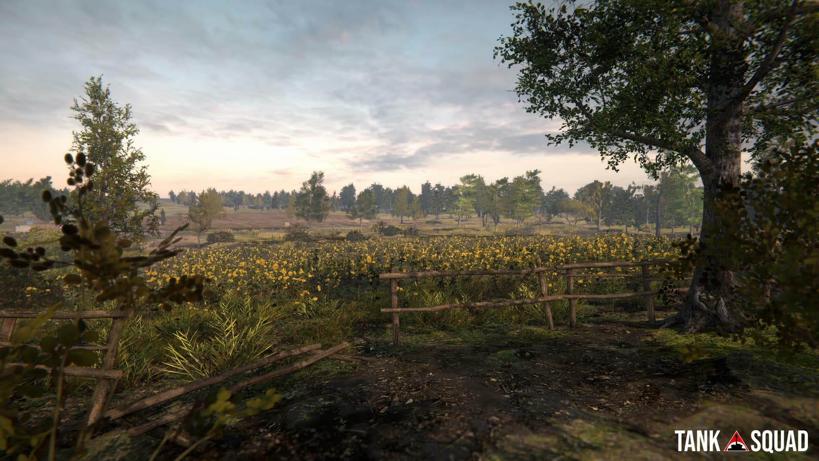 Изображение из объявления Steam