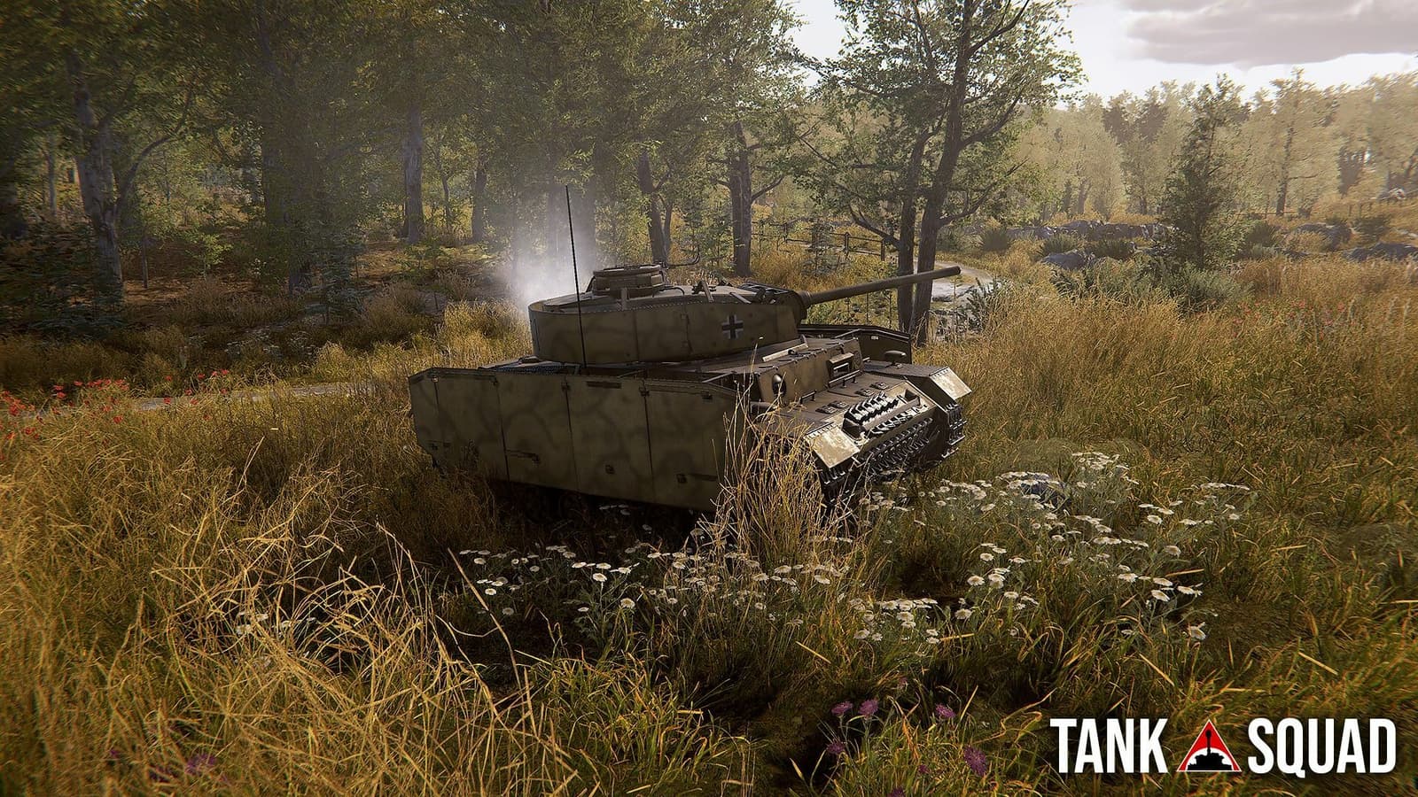 Изображение из объявления Steam