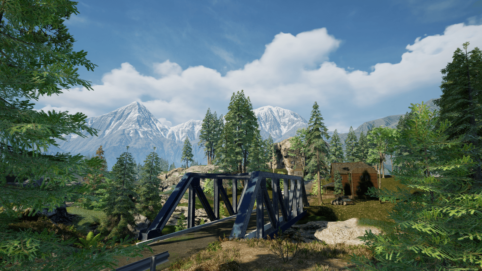 Изображение из объявления Steam