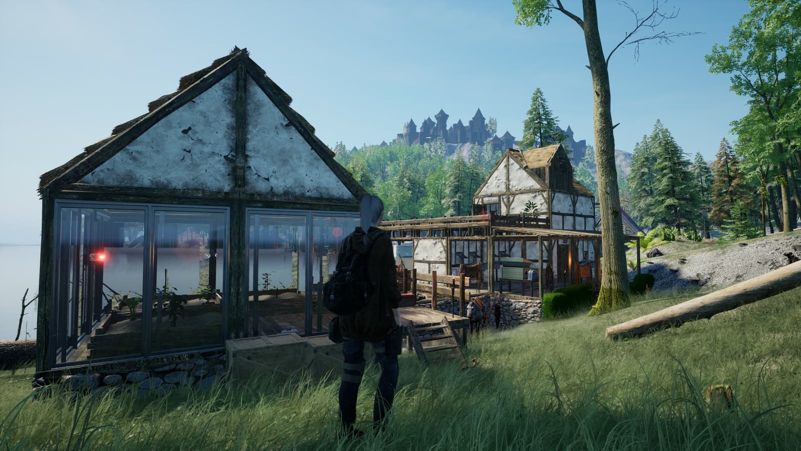Изображение из объявления Steam