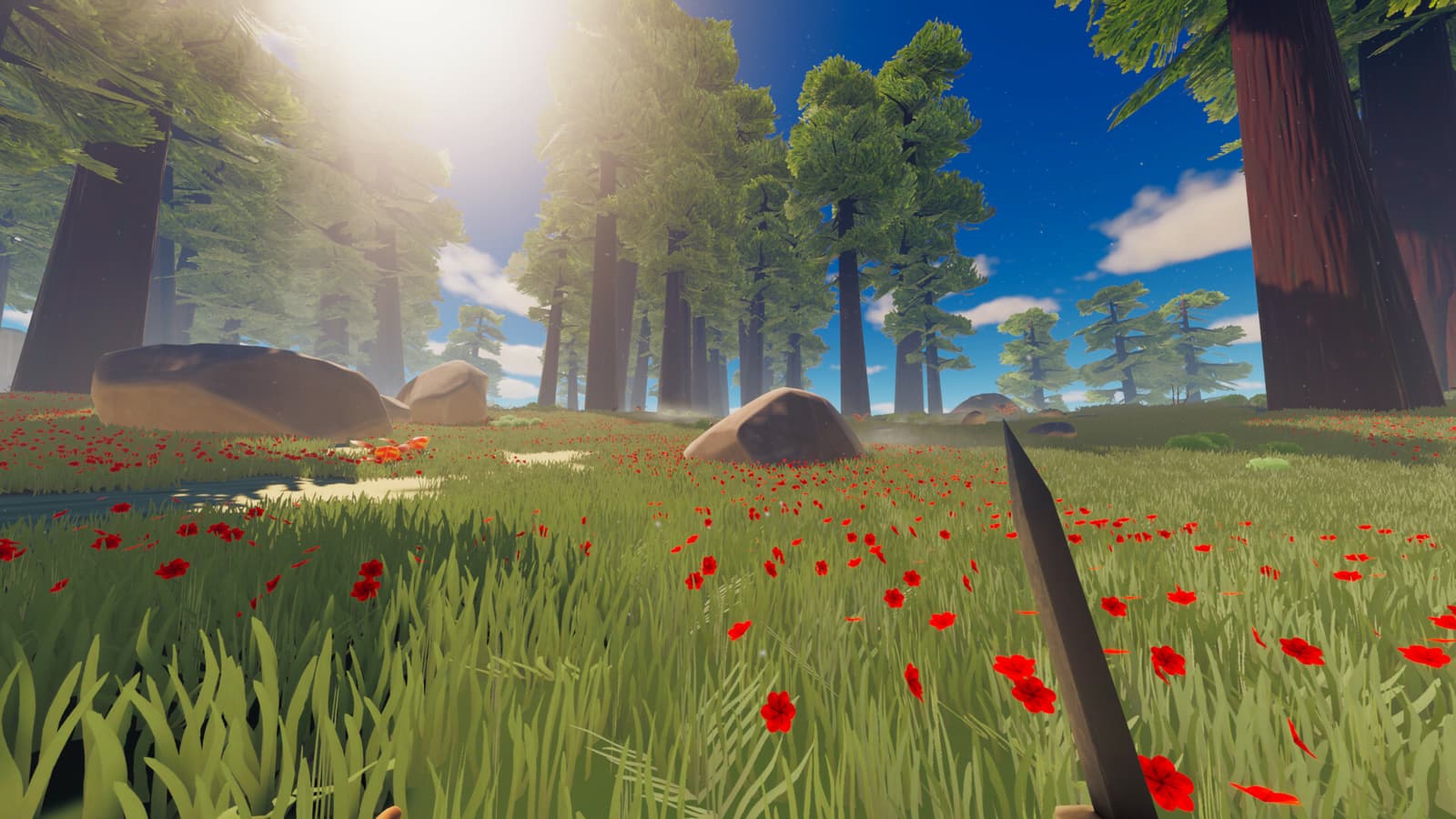 Изображение из объявления Steam