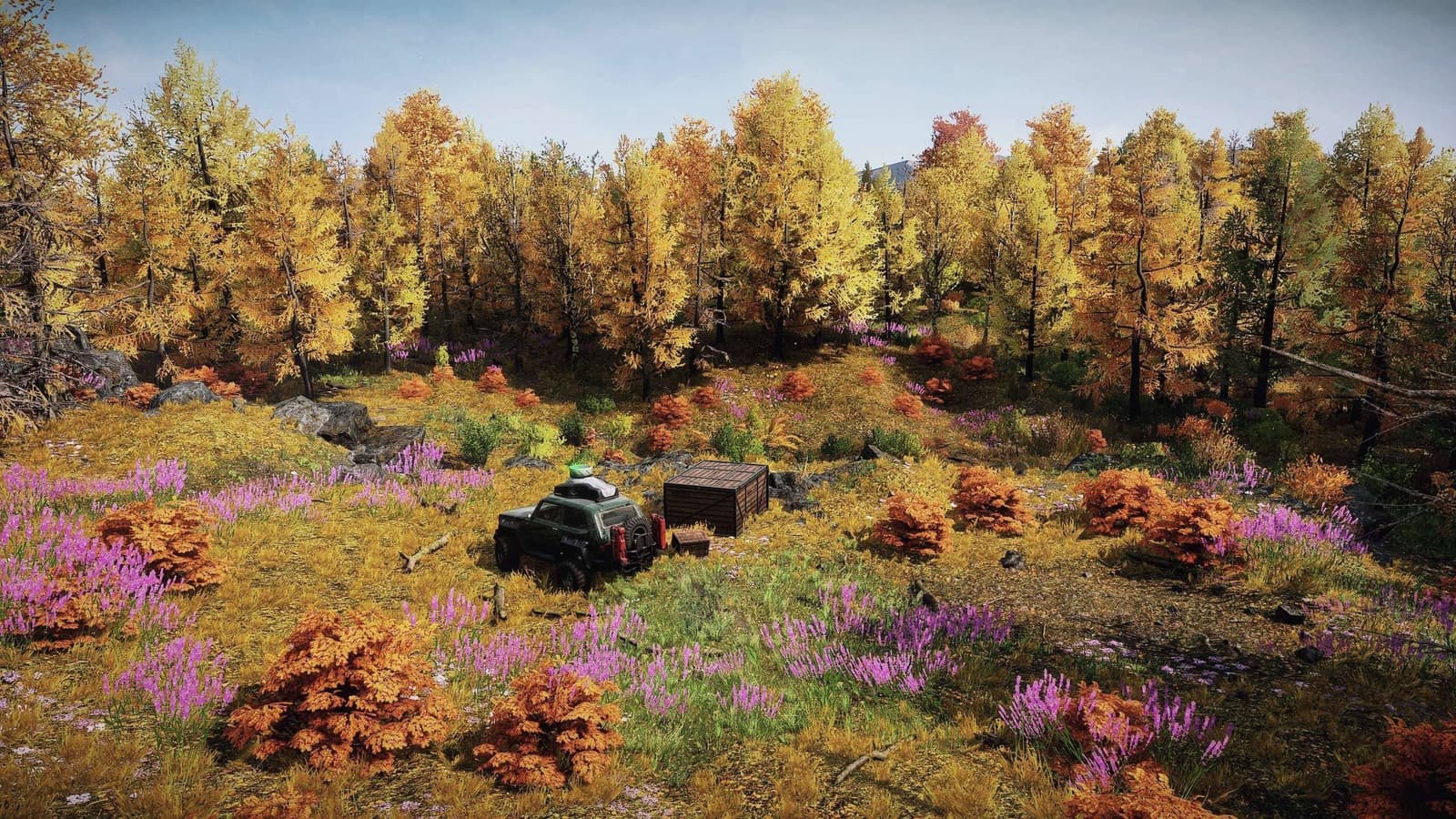 Изображение из объявления Steam