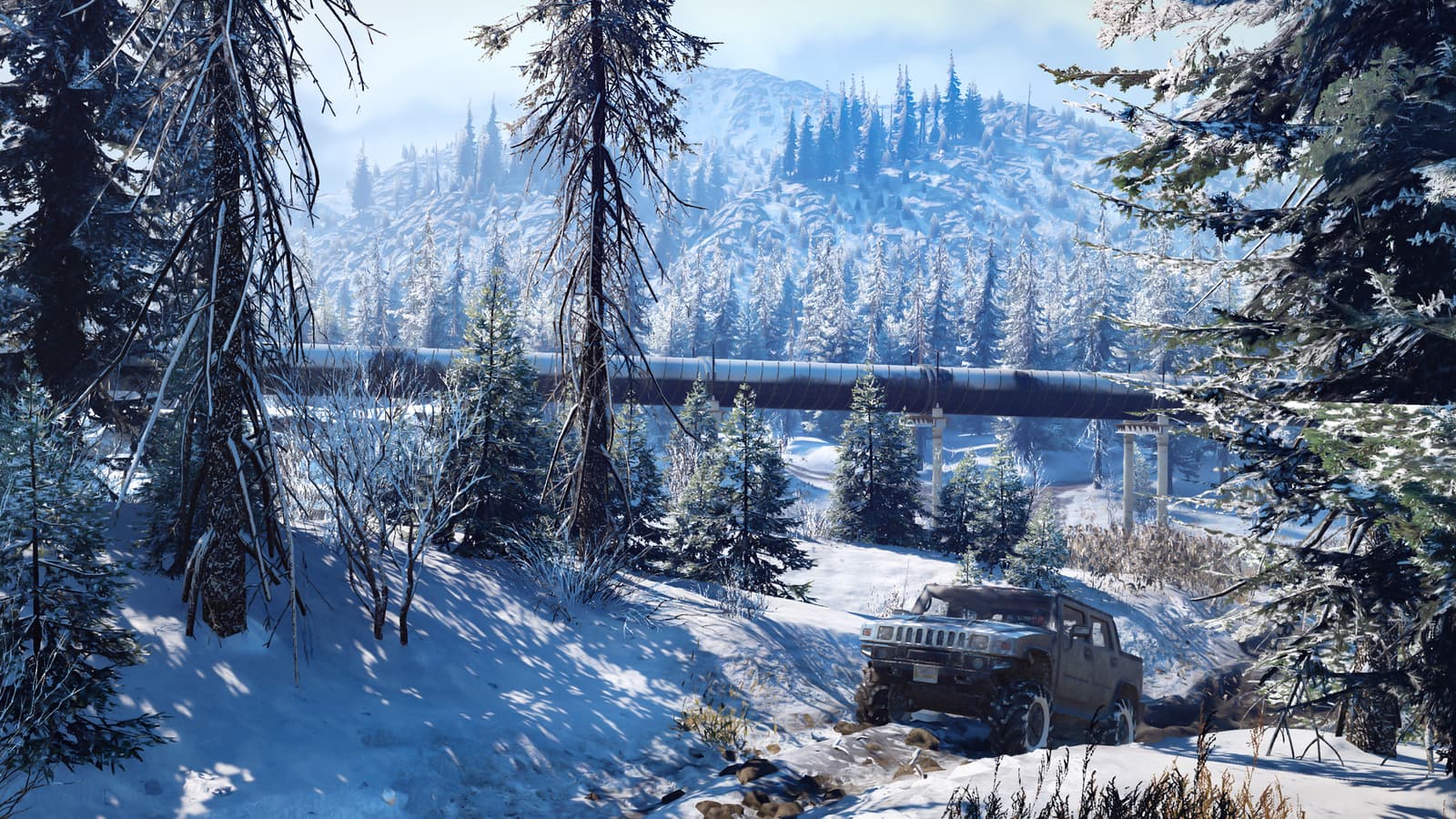 Изображение из объявления Steam