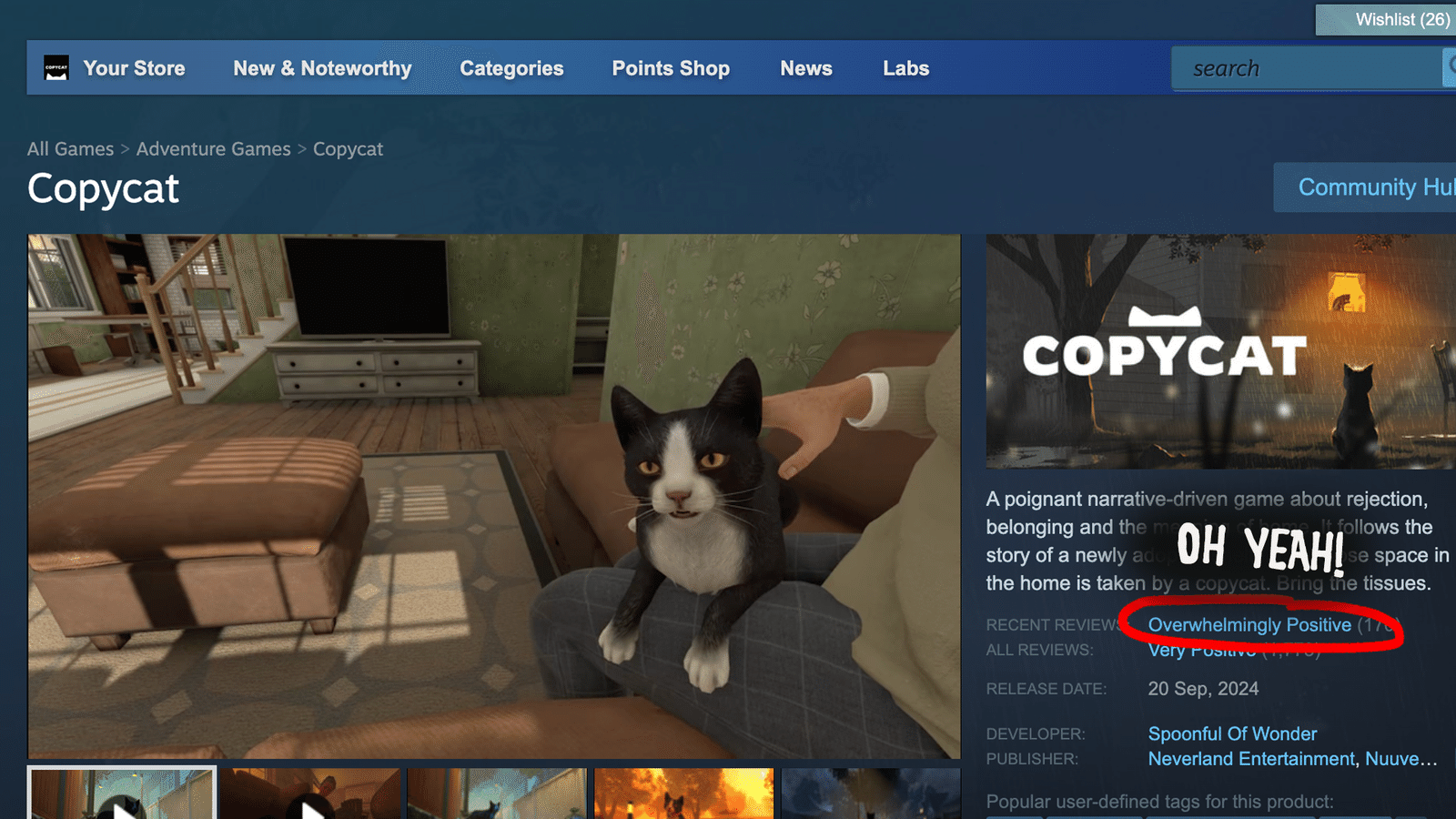 Изображение из объявления Steam