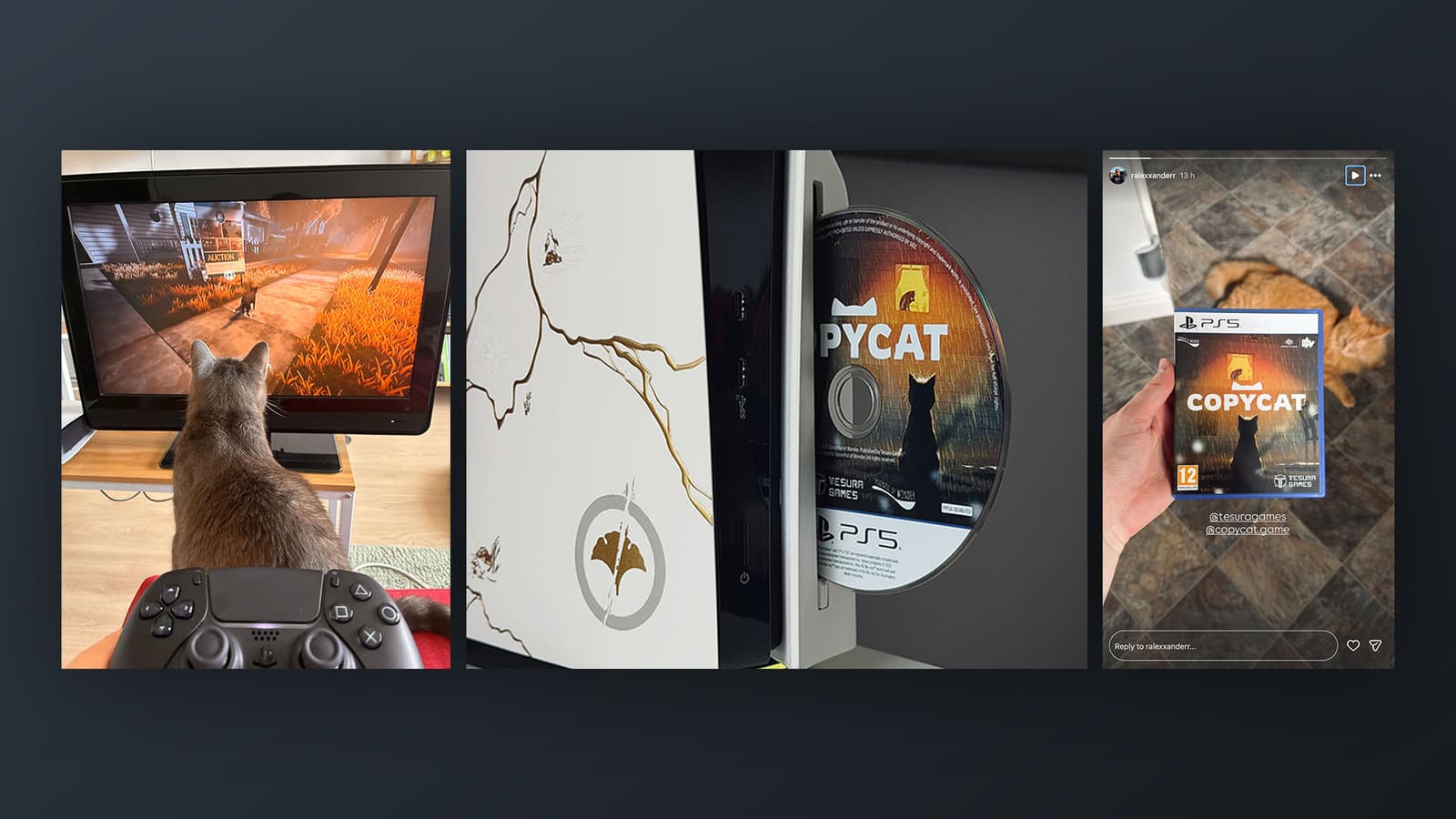 Изображение из объявления Steam