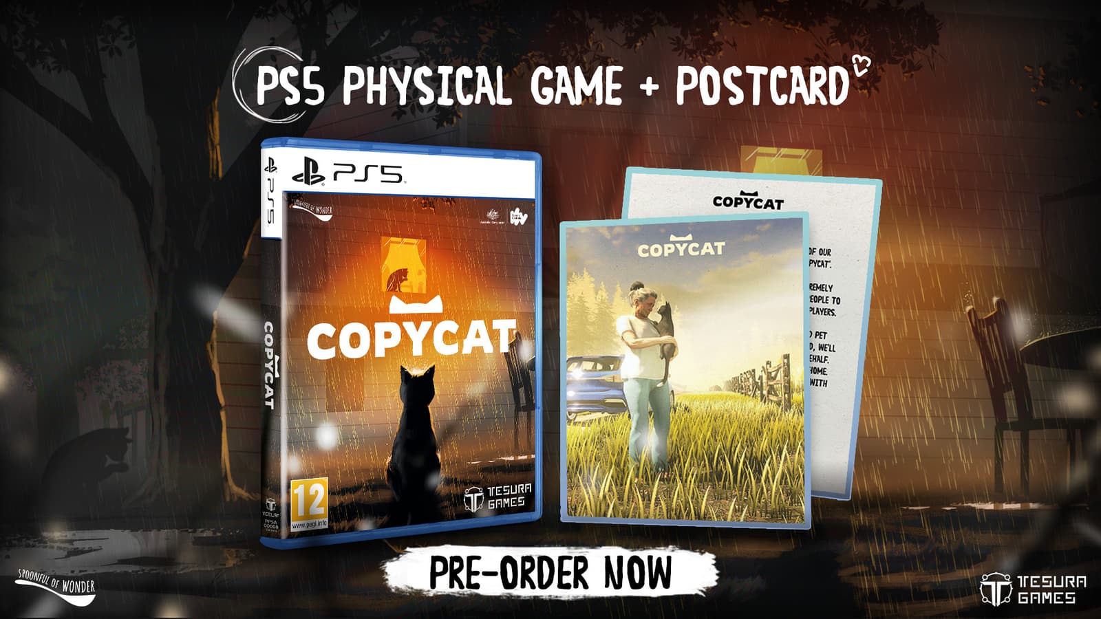 Изображение из объявления Steam