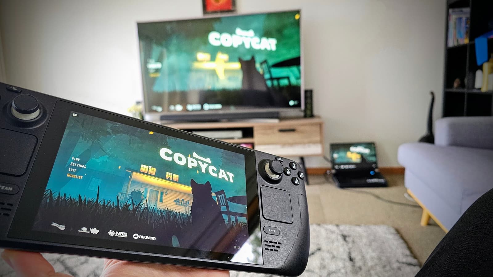 Изображение из объявления Steam