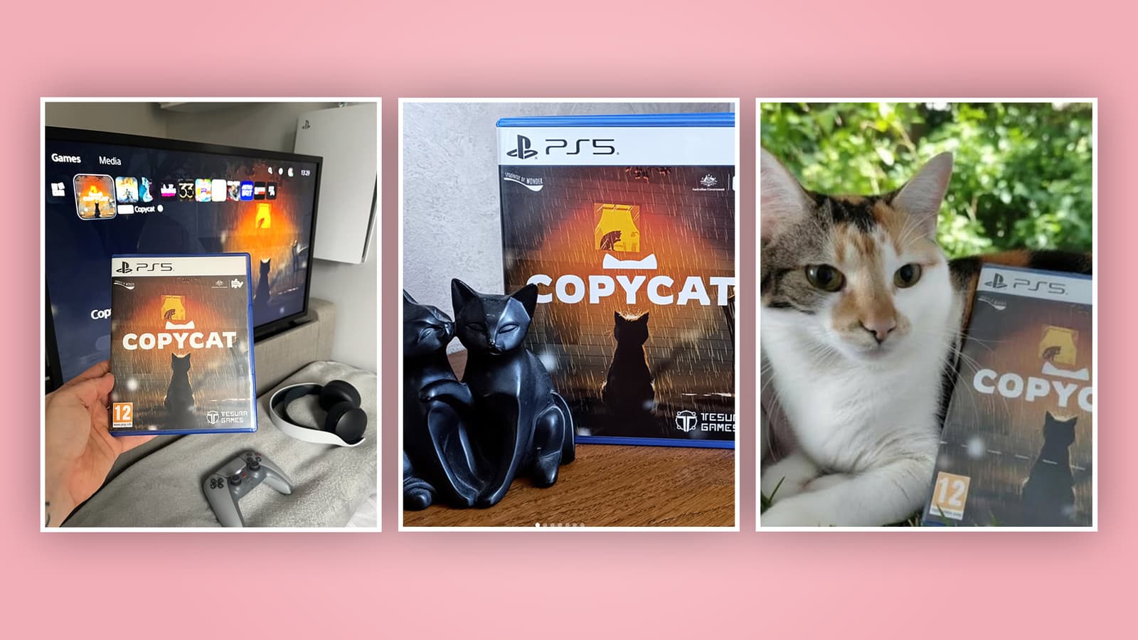 Изображение из объявления Steam