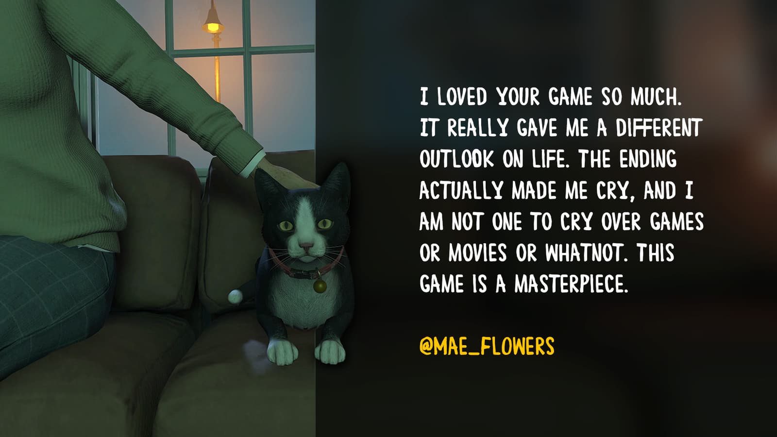 Изображение из объявления Steam