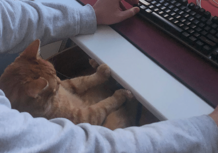 Изображение из объявления Steam