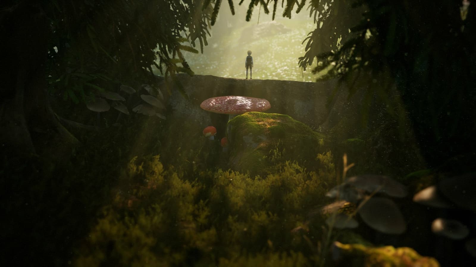 Изображение из объявления Steam