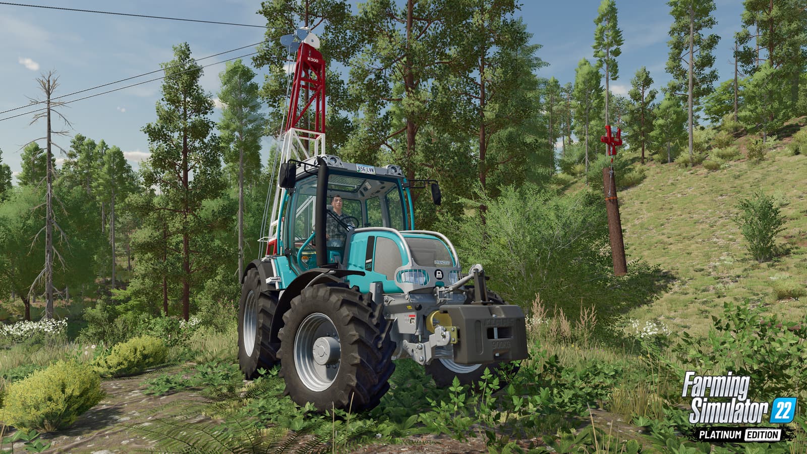 Изображение из объявления Steam