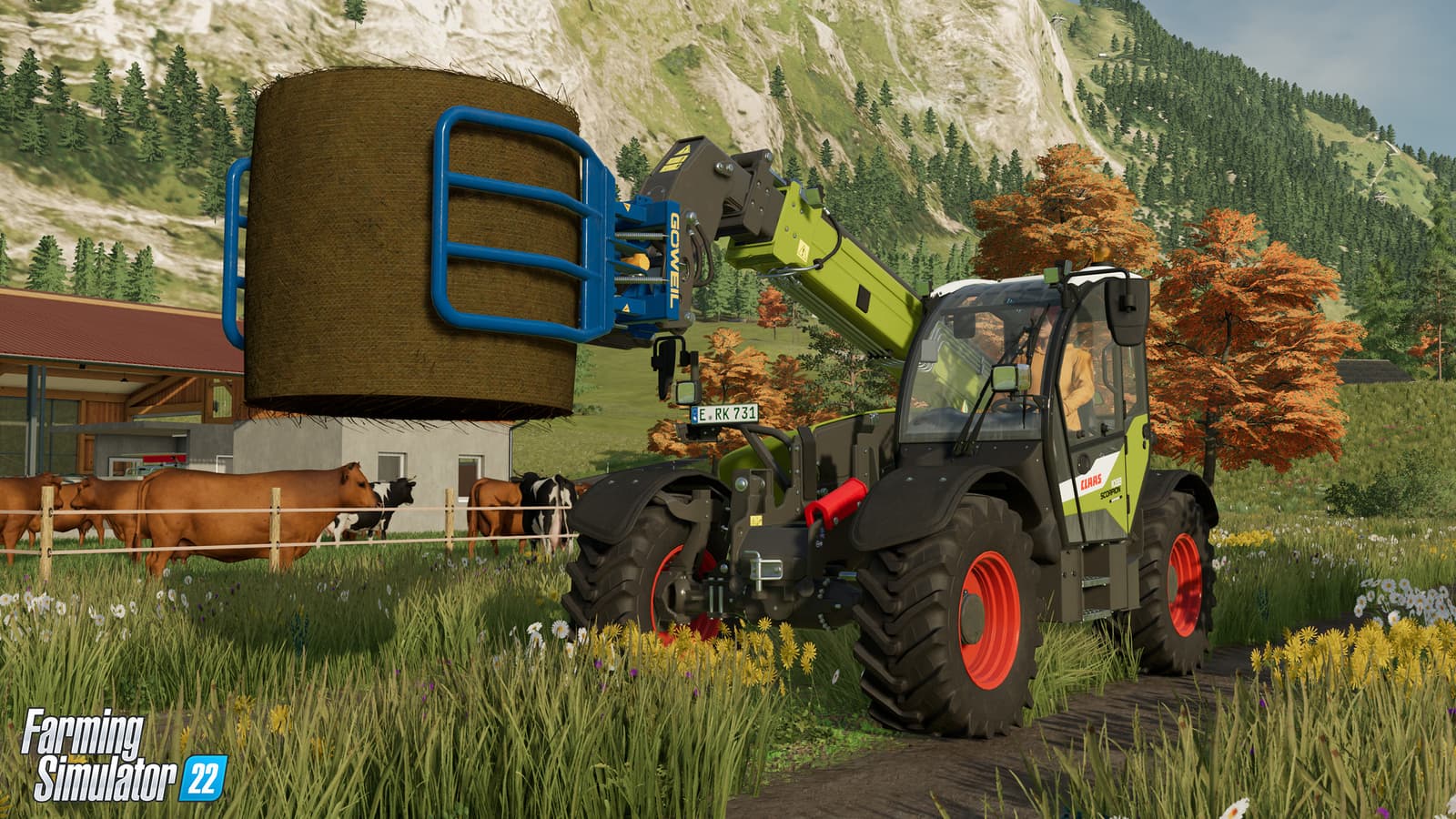 Изображение из объявления Steam