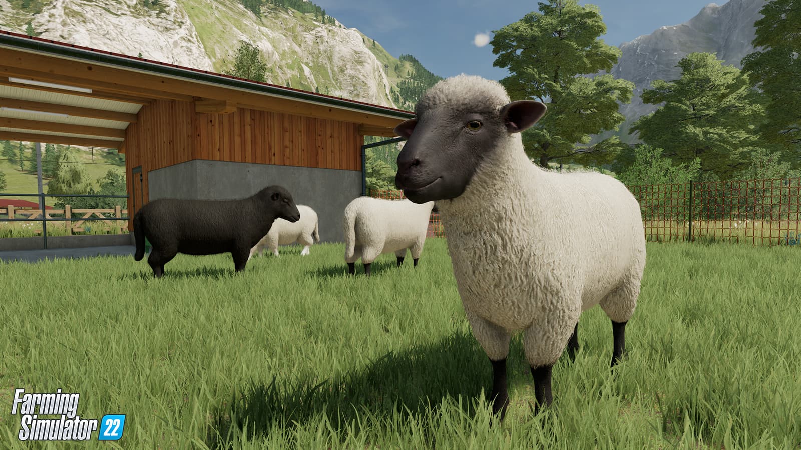 Изображение из объявления Steam