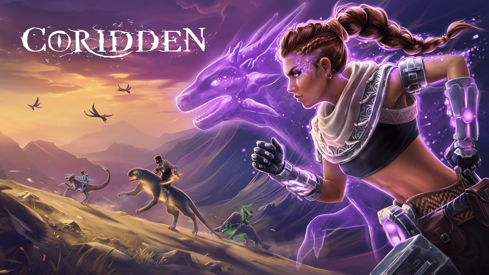 Изображение из объявления Steam