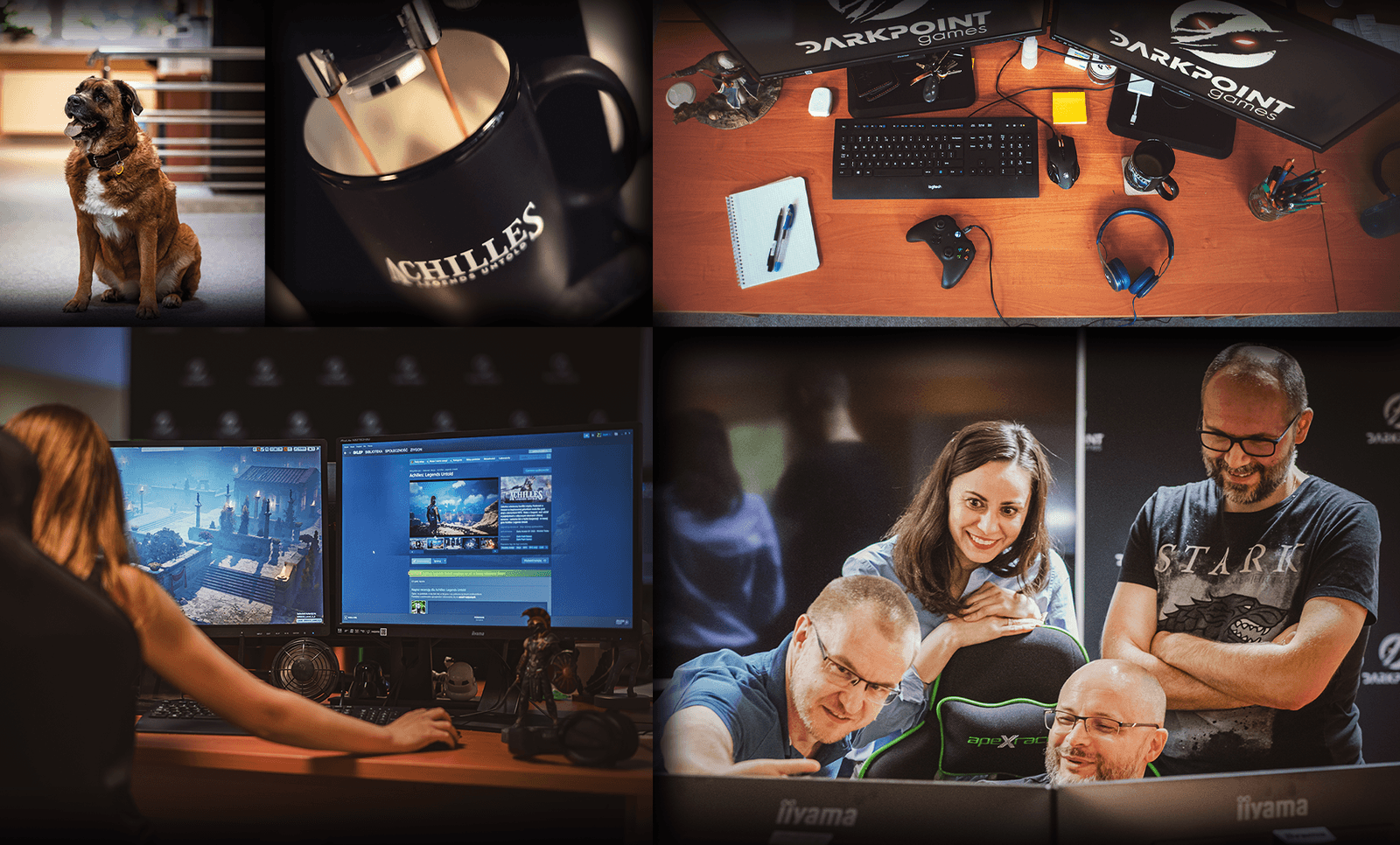 Изображение из объявления Steam