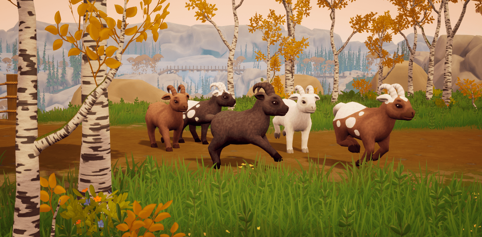 Изображение из объявления Steam