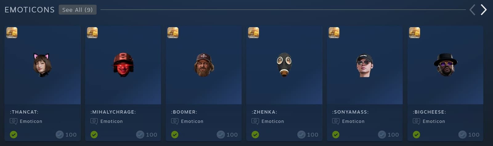 Изображение из объявления Steam
