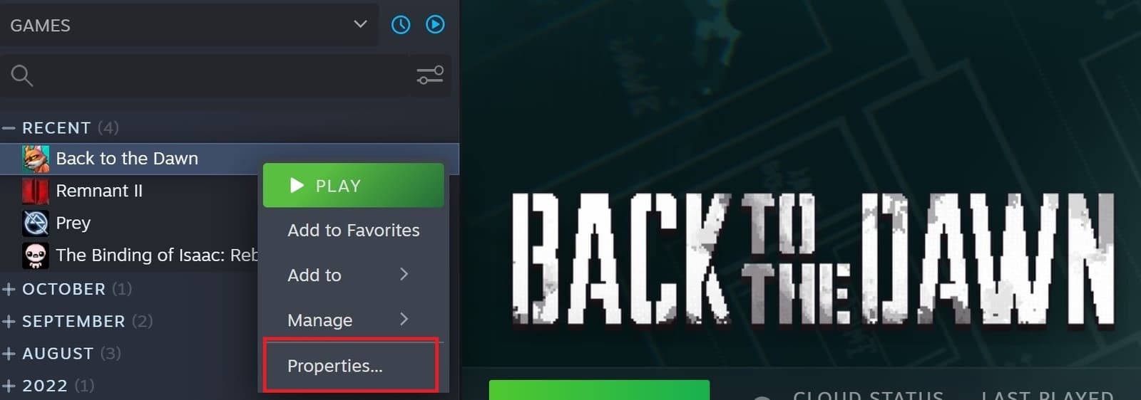Изображение из объявления Steam