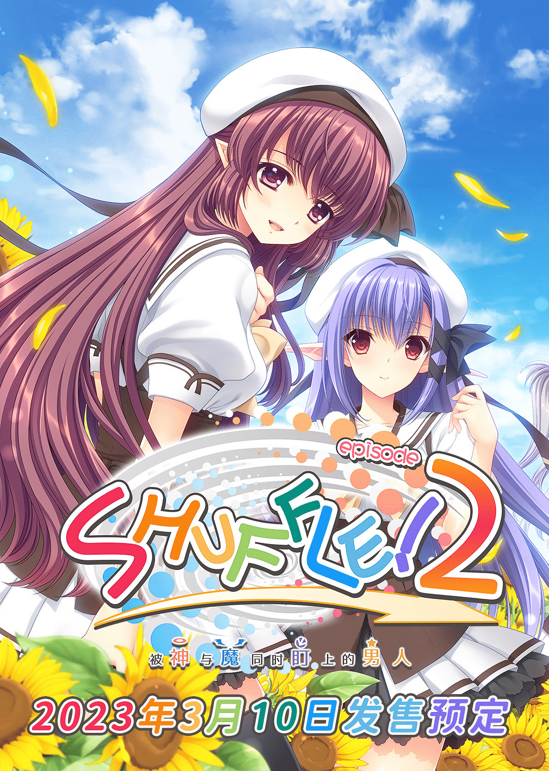 Изображение из объявления Steam