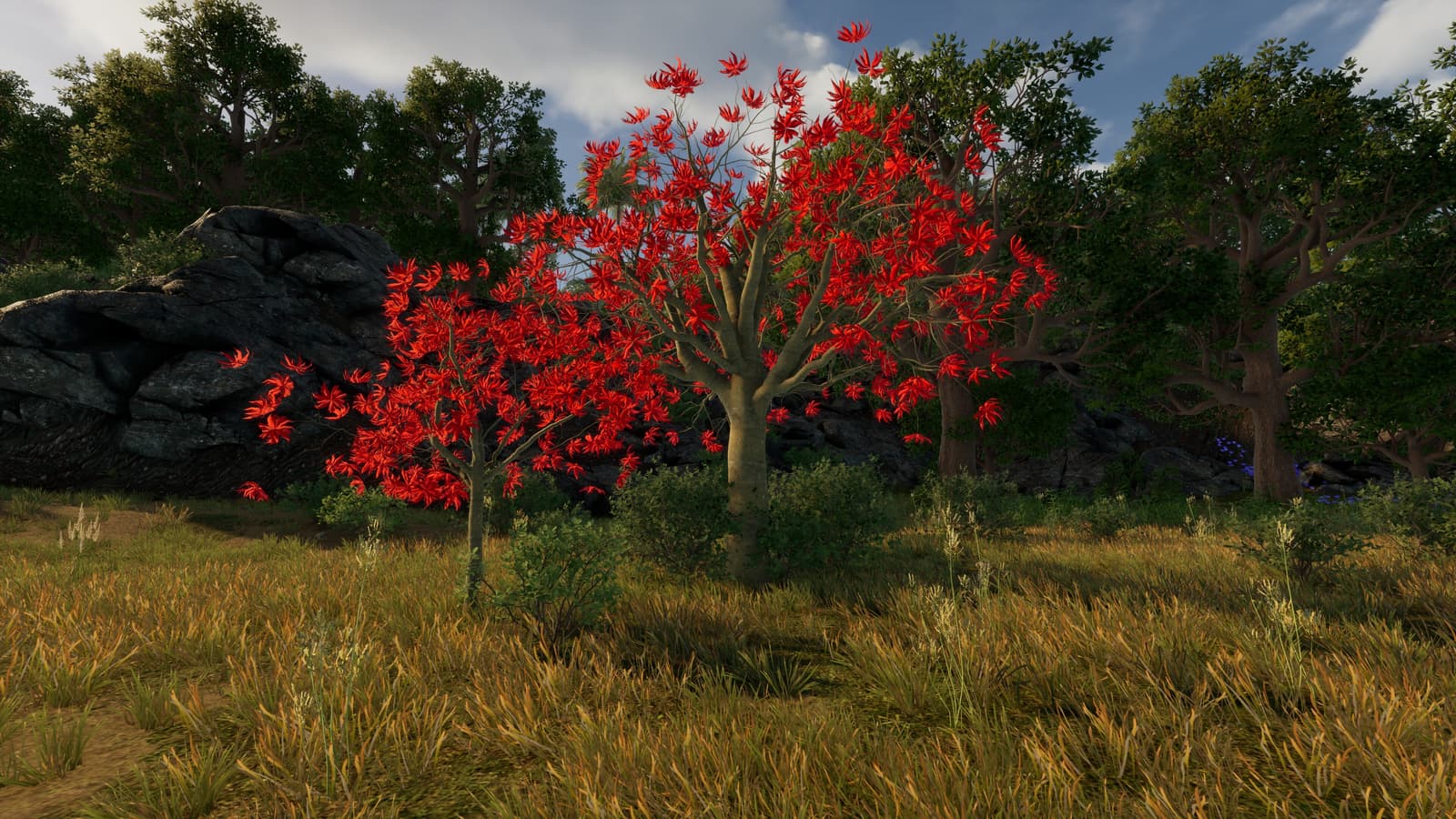 Изображение из объявления Steam