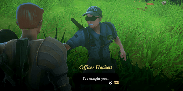 Изображение из объявления Steam