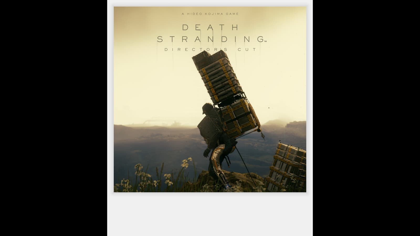 Изображение из объявления Steam