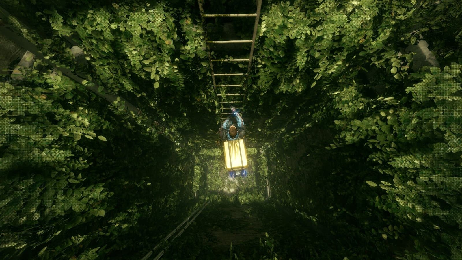 Изображение из объявления Steam