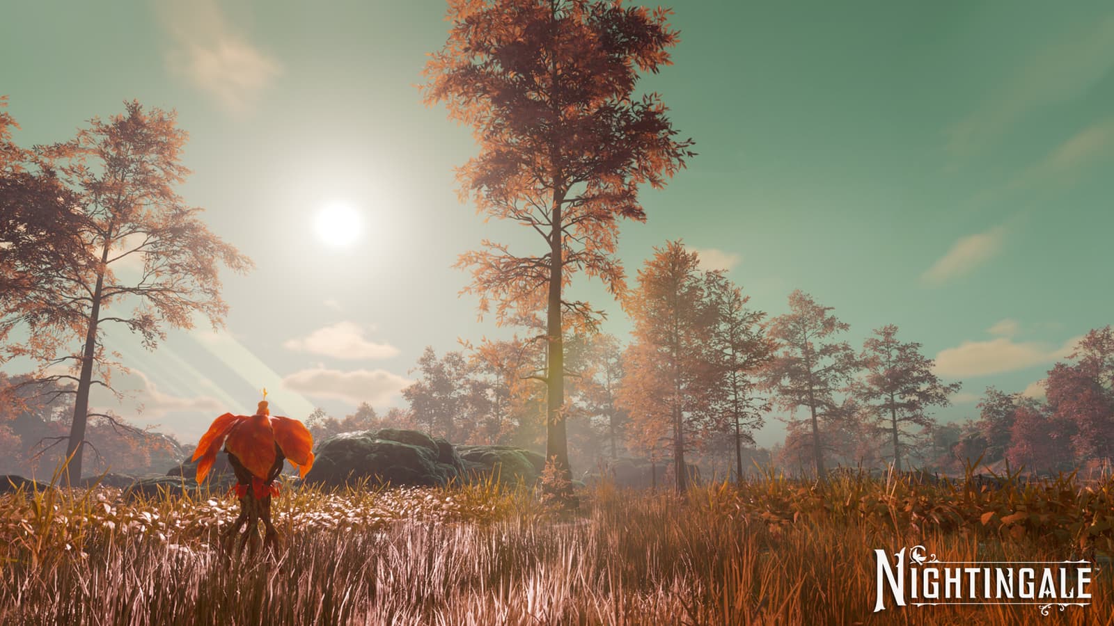 Изображение из объявления Steam