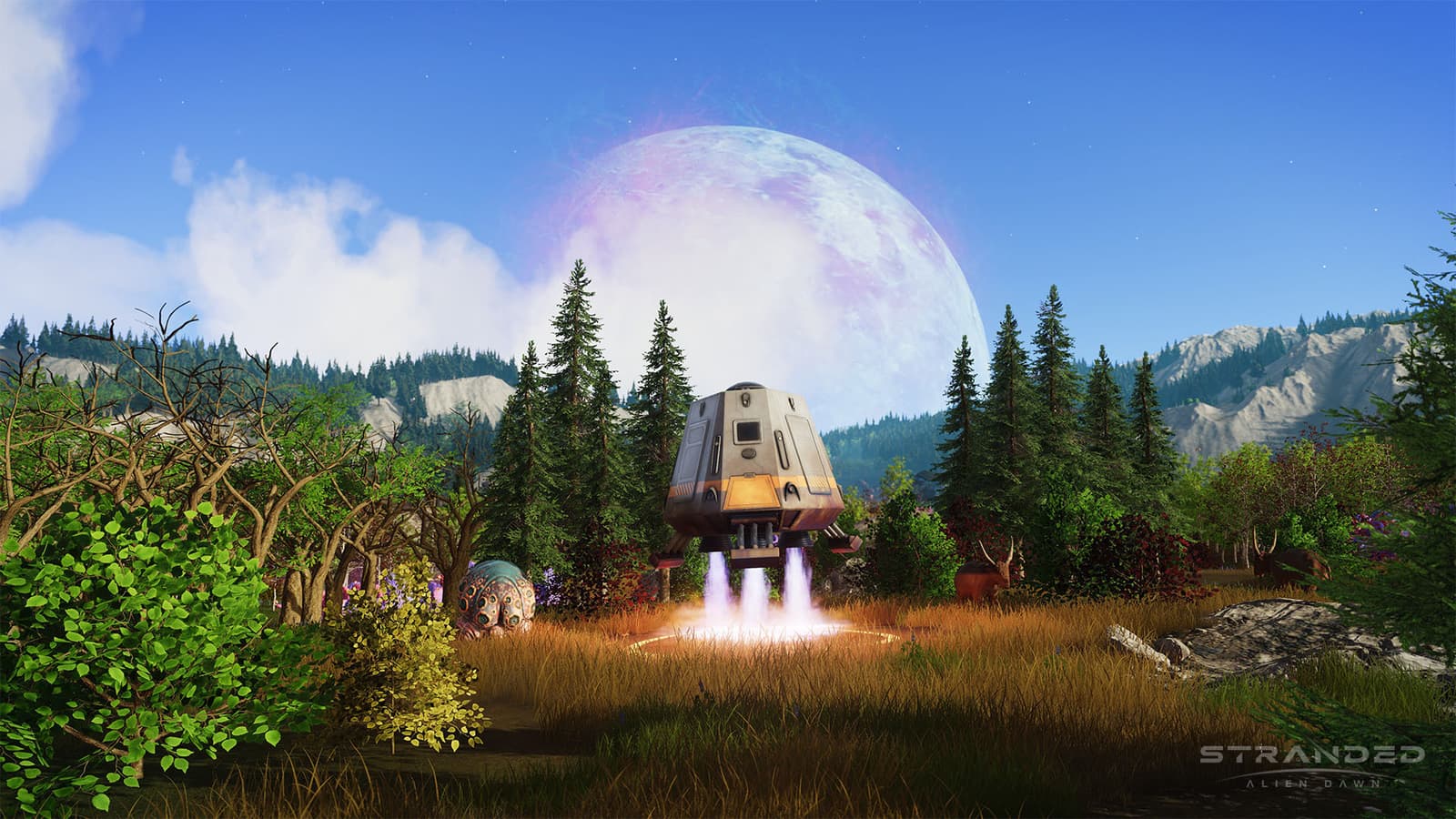 Изображение из объявления Steam