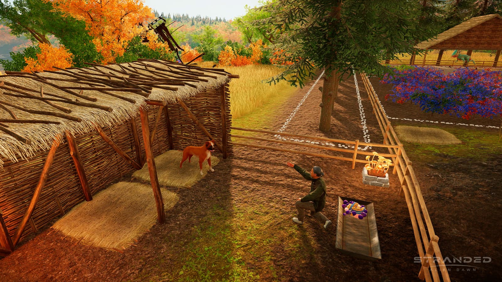 Изображение из объявления Steam