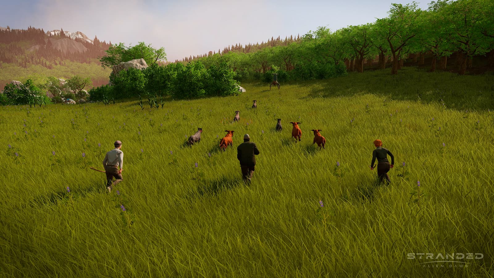 Изображение из объявления Steam