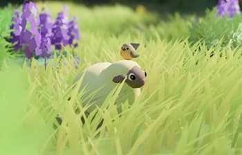 Изображение из объявления Steam