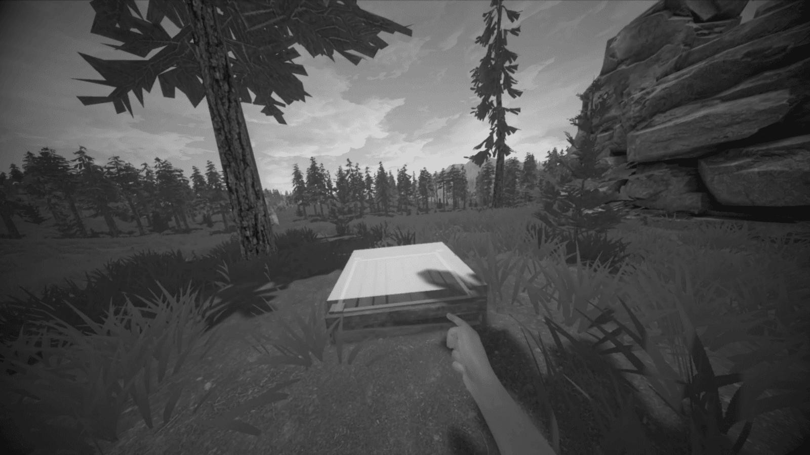 Изображение из объявления Steam