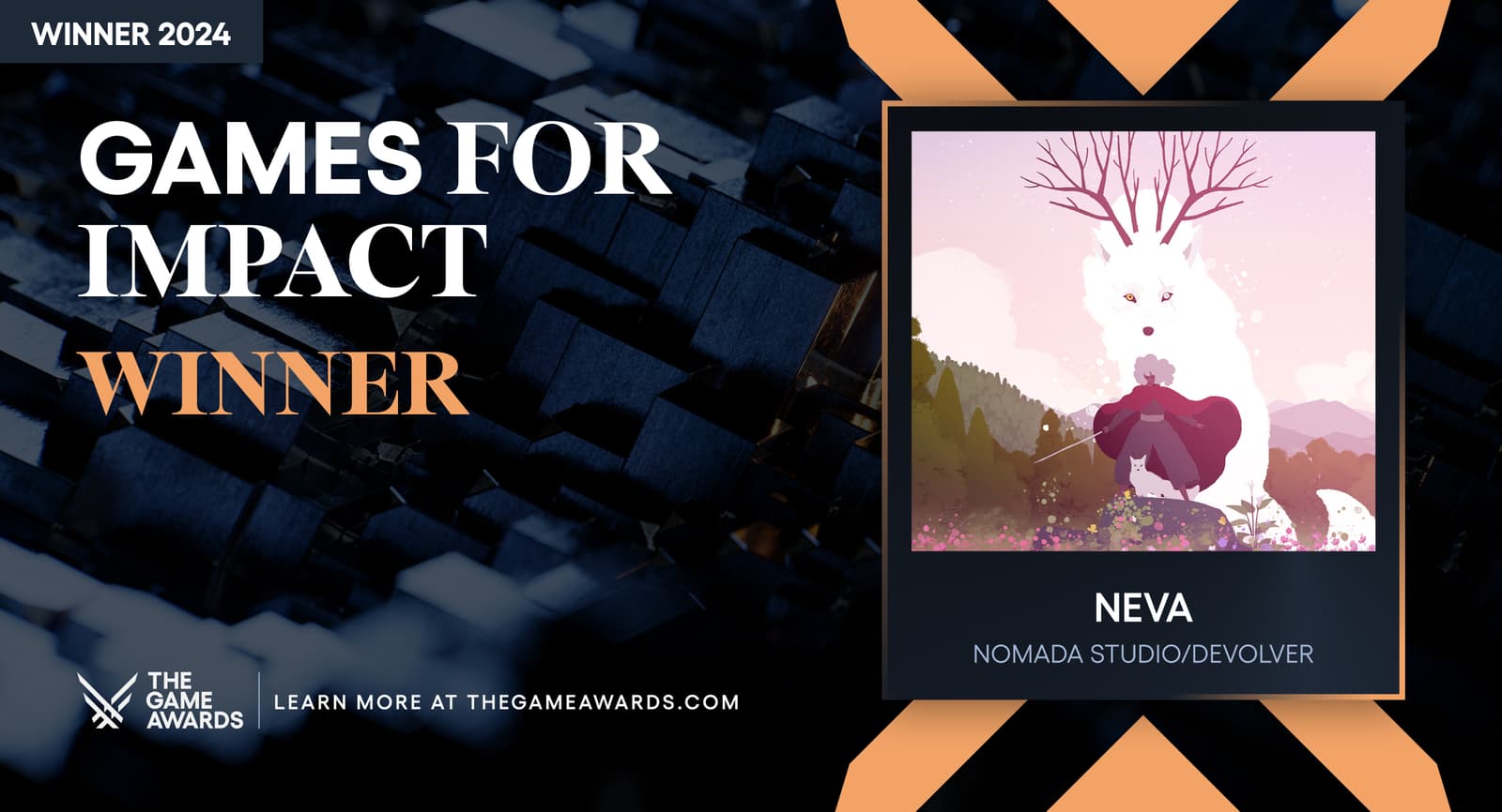 Изображение из объявления Steam