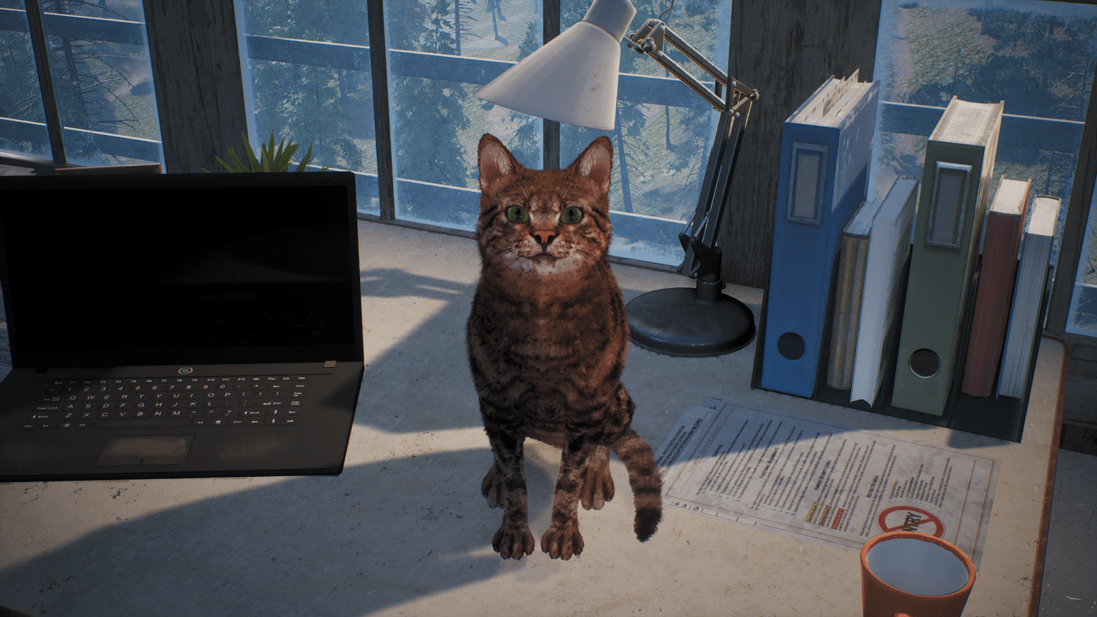 Изображение из объявления Steam