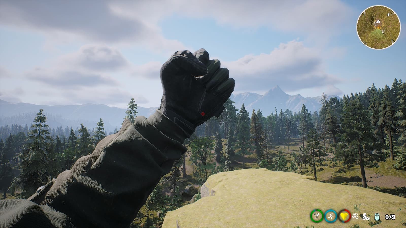 Изображение из объявления Steam