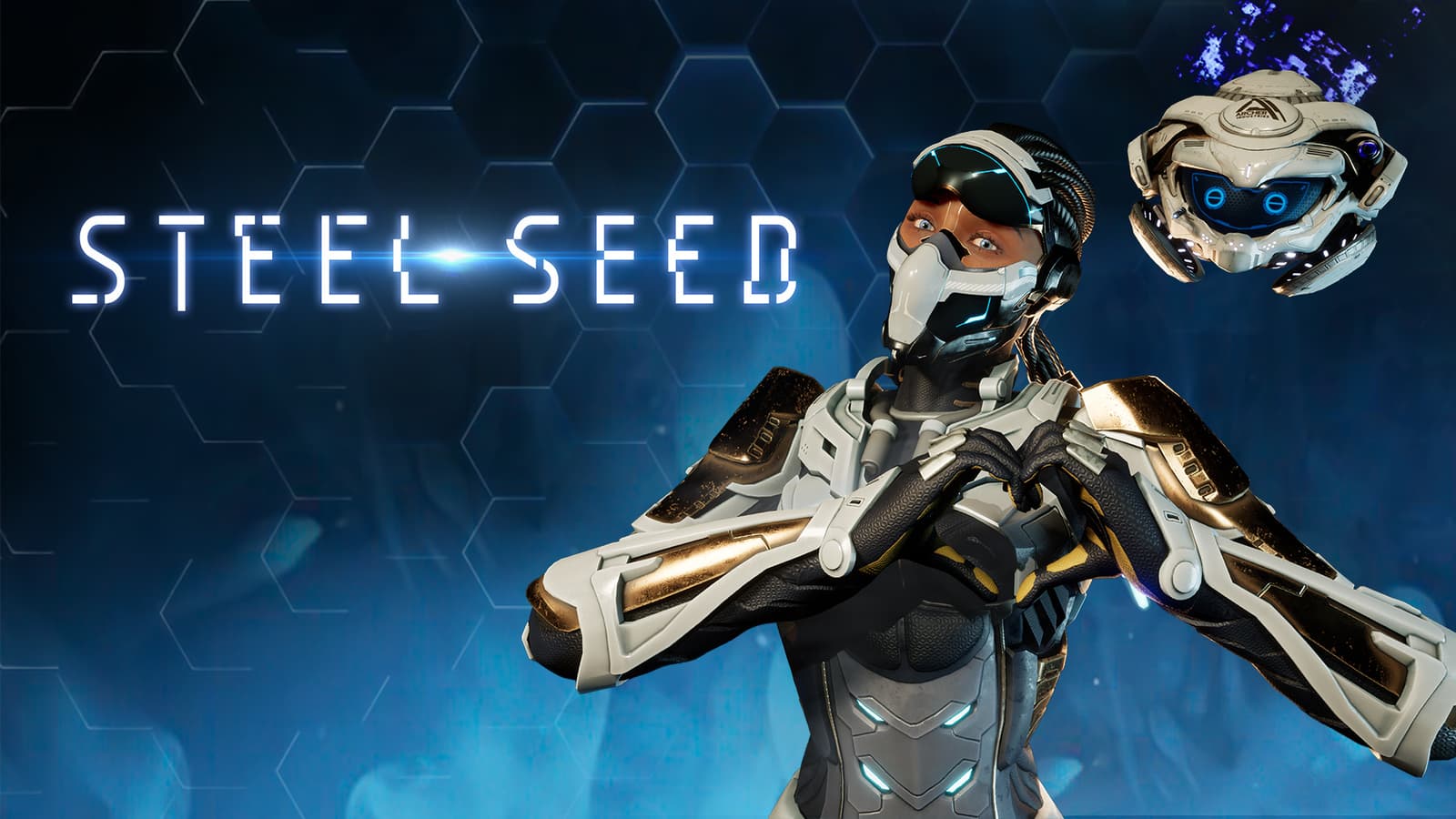 Изображение из объявления Steam