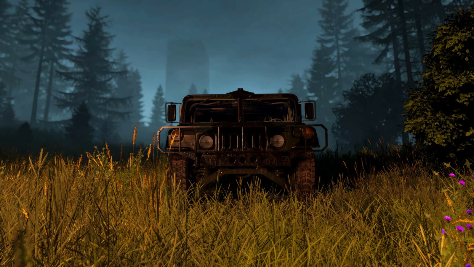 Изображение из объявления Steam