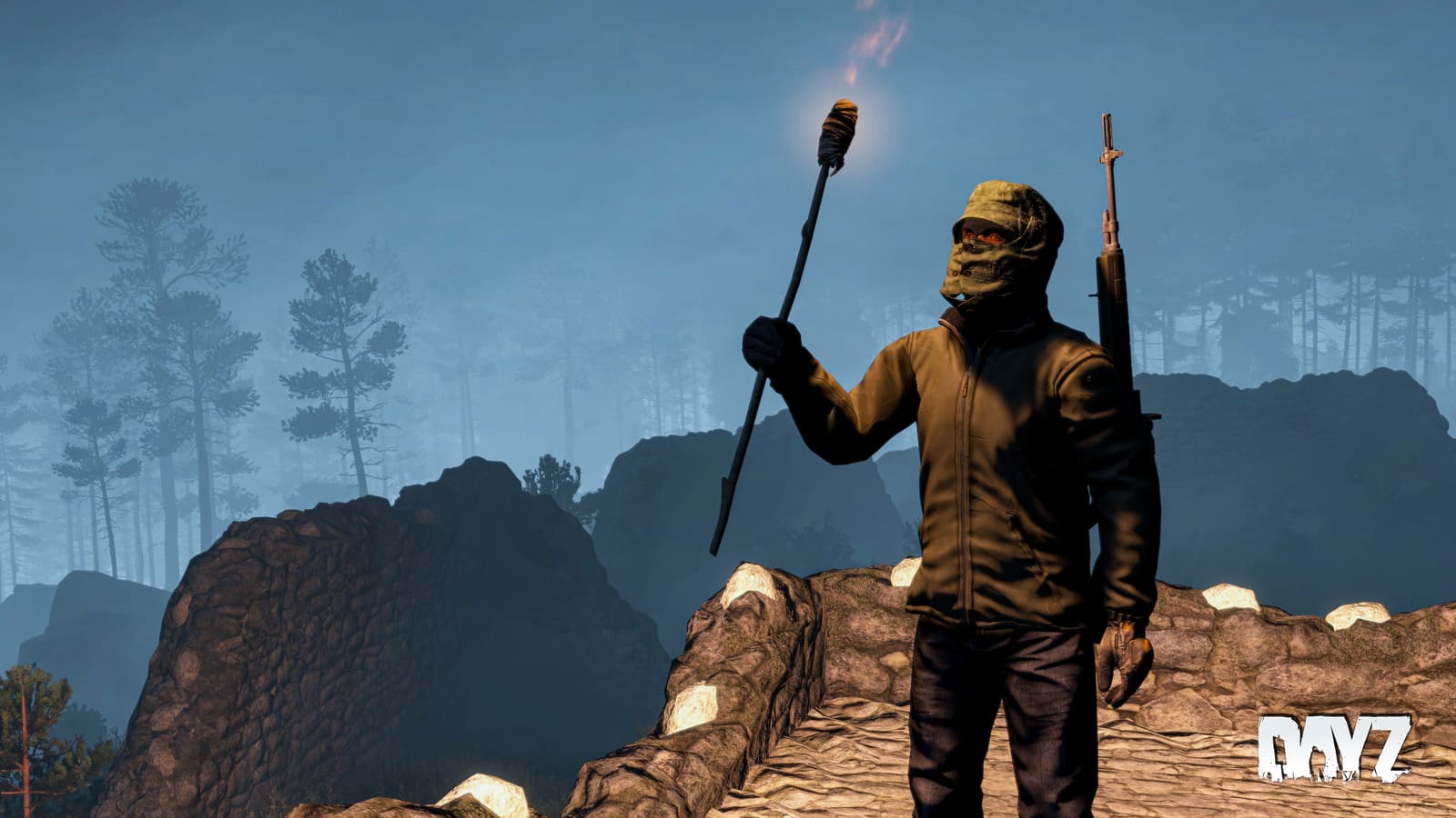 Изображение из объявления Steam
